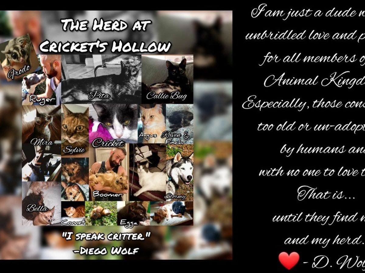 Fundraiser’s main image