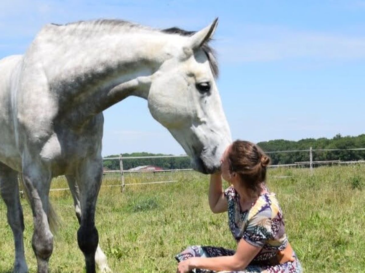 voltigiermannschaft Fundraiser by Alisa Wender : Gray will atmen! Bitte um Hilfe für Kehlkopf-OP