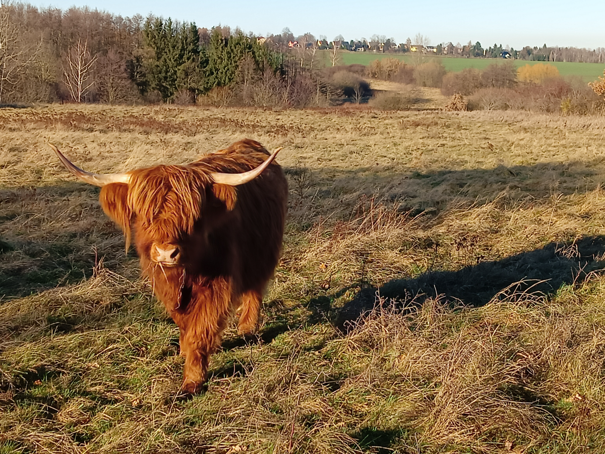 Hauptbild des Spendenaufrufs