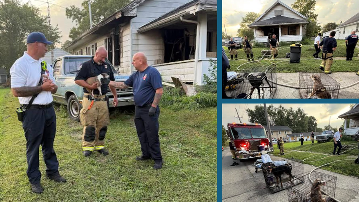 Help Tammie Rebuild After House Fire campaign photo, 1 of 7