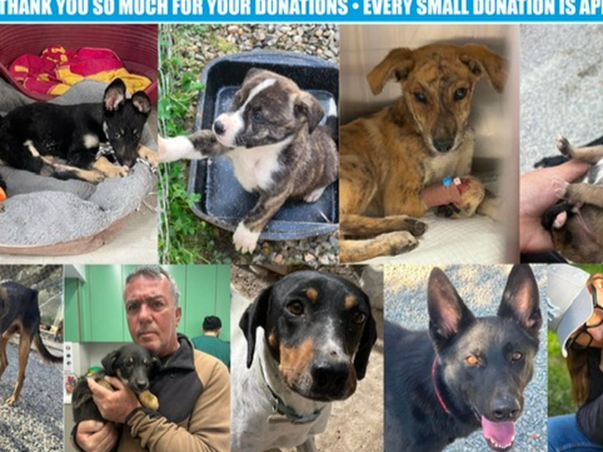 Fundraiser’s main image