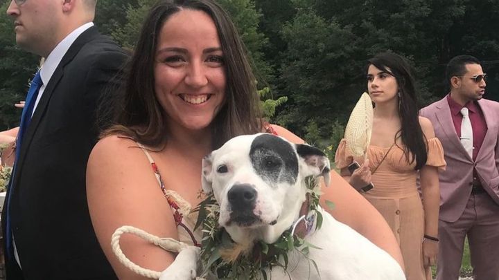 Foto principale della raccolta fondi