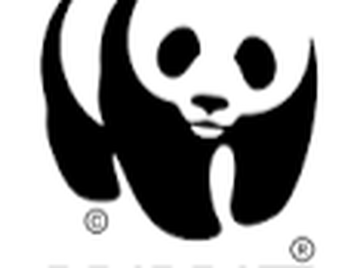 Fundraiser’s main image
