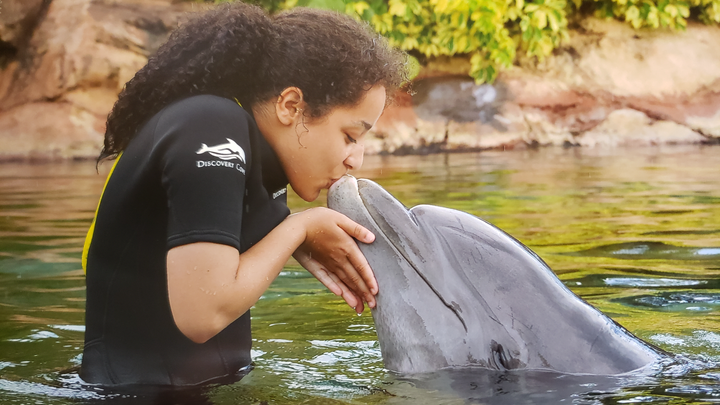 Honor Gabby's Love for Animals: Donate Today campaign photo, 1 of 8
