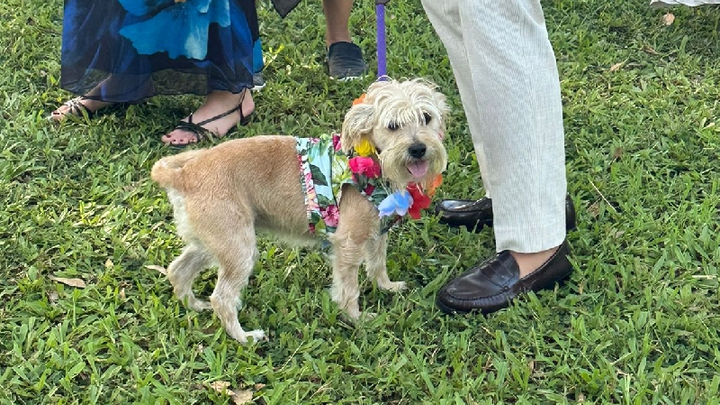 Main fundraiser photo