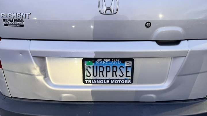 Help?! Save the Element of Surprise (and me...) campaign photo, 1 of 4