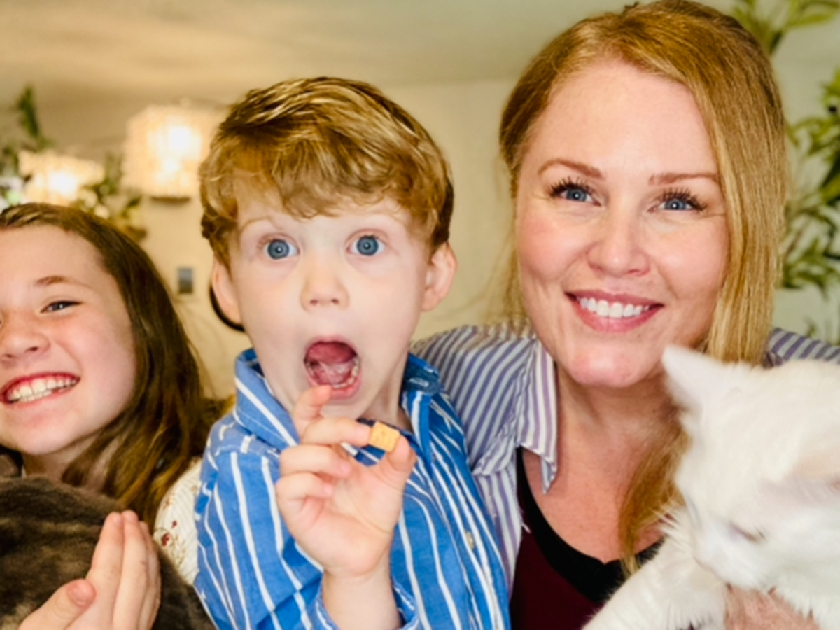 Single Mom & Kids Survive Police Chase Crash campaign photo, 1 of 6