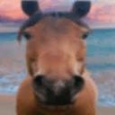 Profile photo of Wee Woo