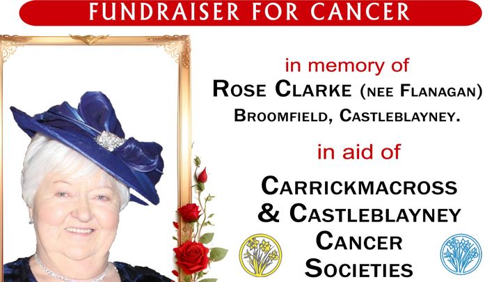 Main fundraiser photo
