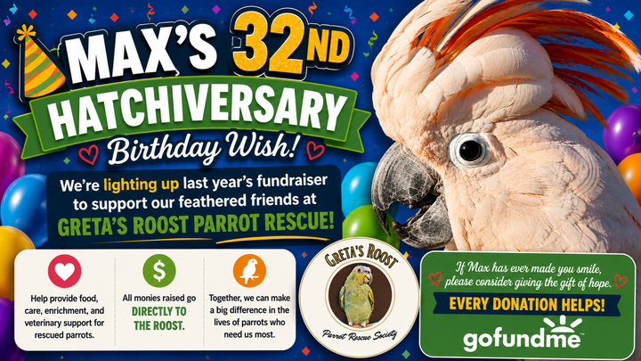 Max the Moluccan Birthday Fundraiser for Greta's Roost campaign photo, 1 of 8