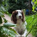 Profile photo of Charlie Annear