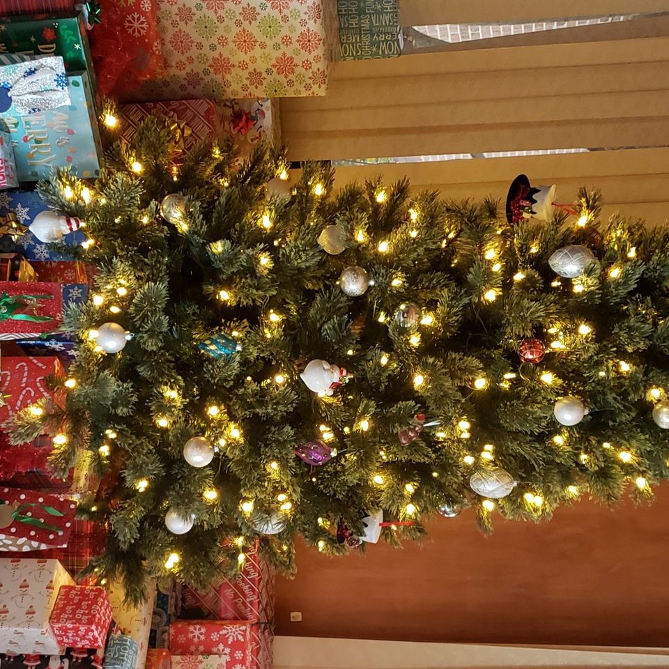 Christmas 2022 Fgi Fundraiser By Debra Johnson : Pam Loves Christmas!!