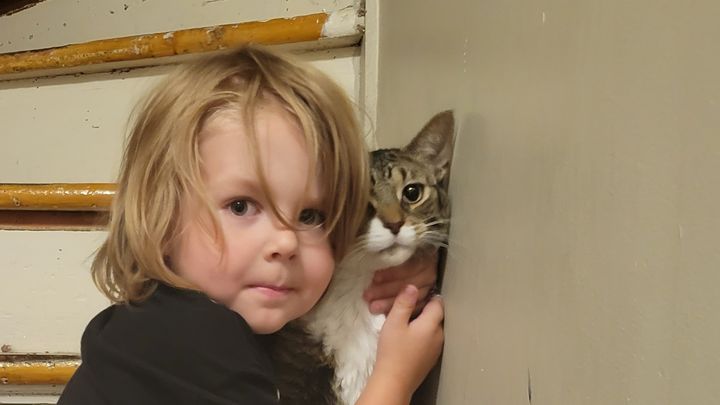 wade kitten