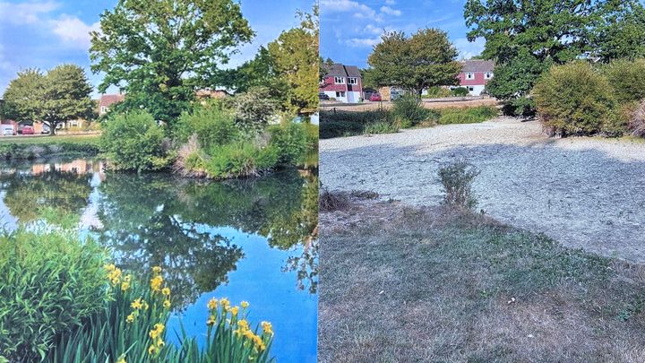 De-Silting our local community pond campaign photo, 1 of 8
