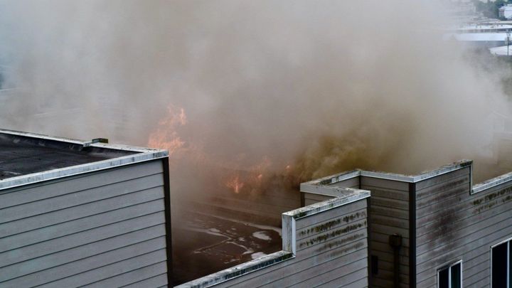 Help Reese and Cats Recover After Apartment Fire campaign photo, 1 of 3