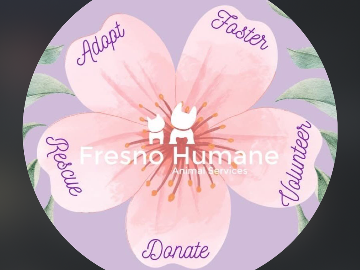 Fundraiser’s main image