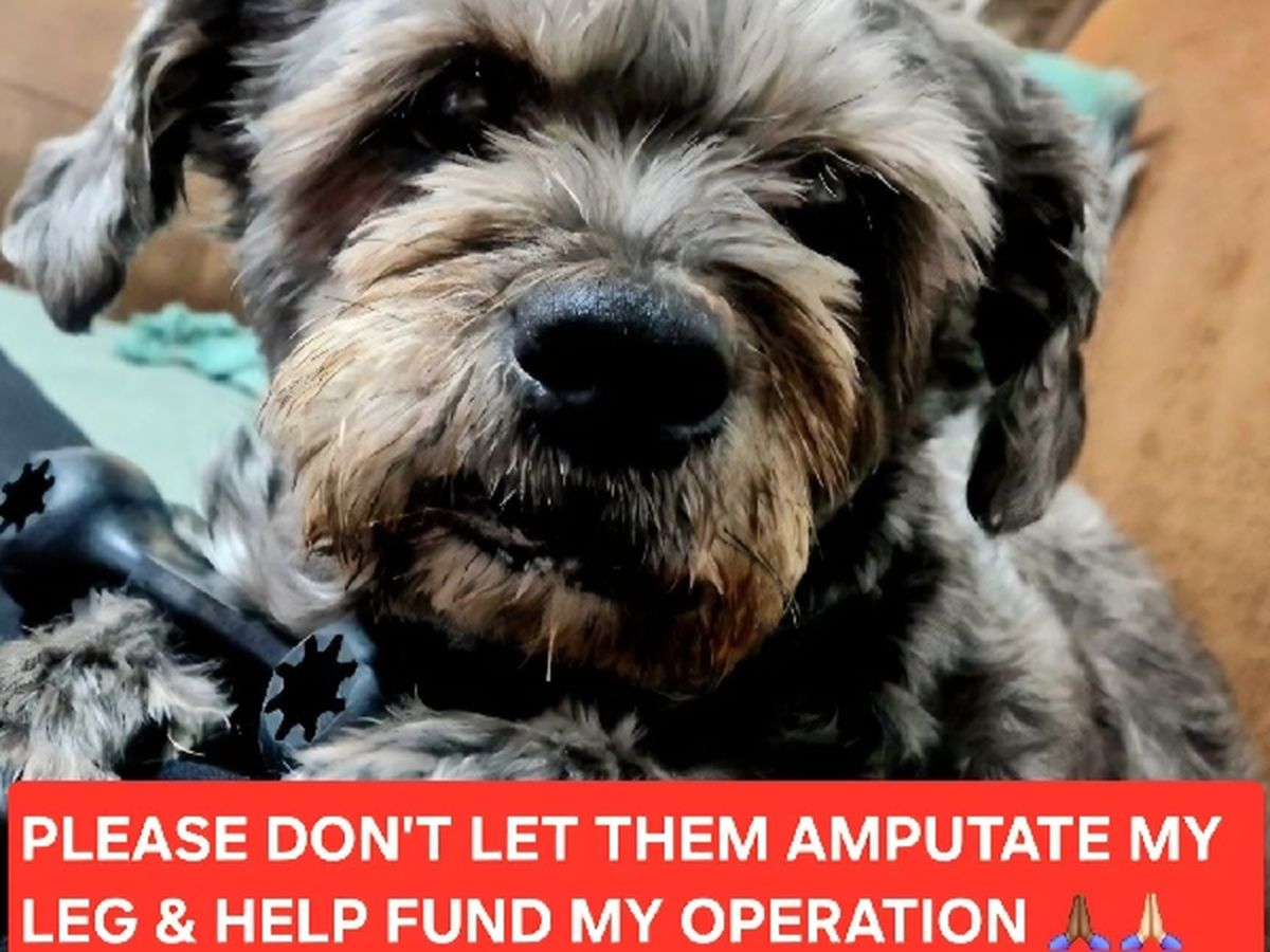 Fundraiser’s main image