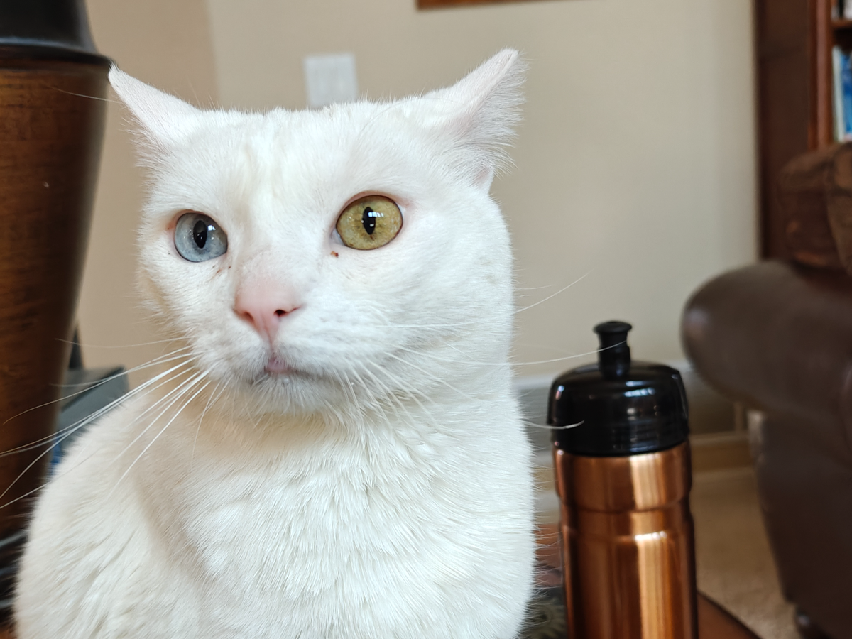 Help Morpheus Battle Heart Failure campaign photo, 1 of 3