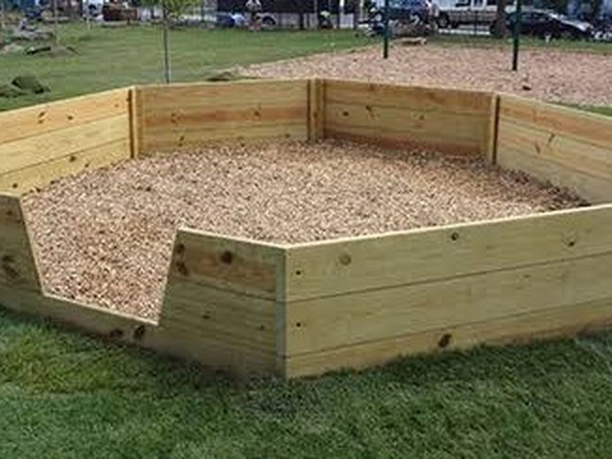 Support Avery's Eagle Scout Project - GaGa Ball Pit campaign photo, 1 of 5
