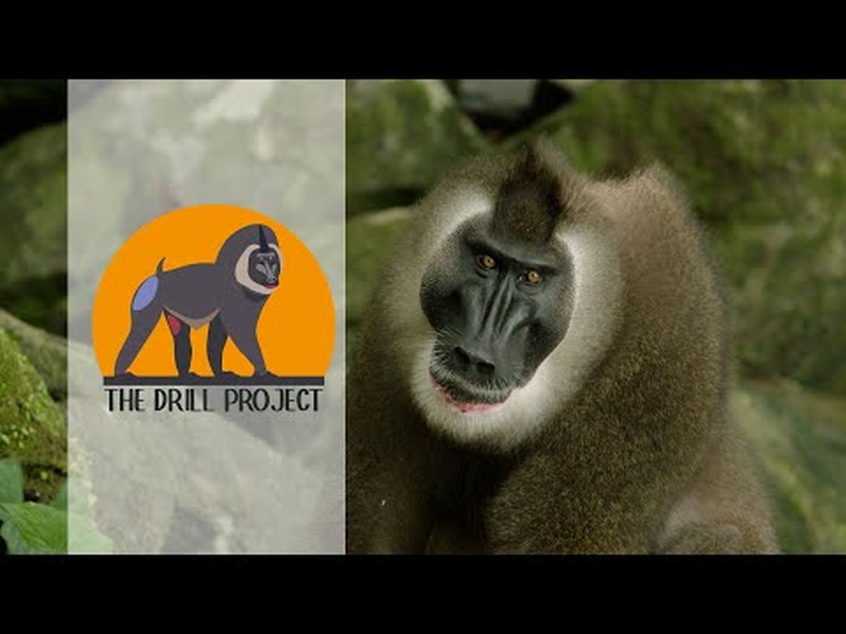 Fundraiser’s main image