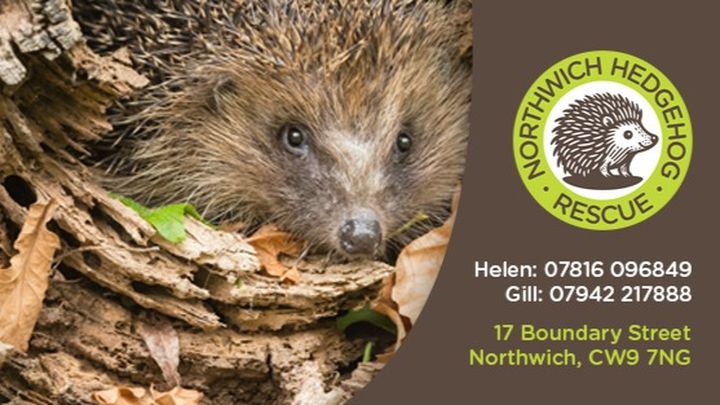 Fundraiser for Helen Gill by Gill Bradburn : Northwich Hedgehog Rescue ...