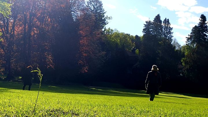 Hauptbild der Spendenaktion