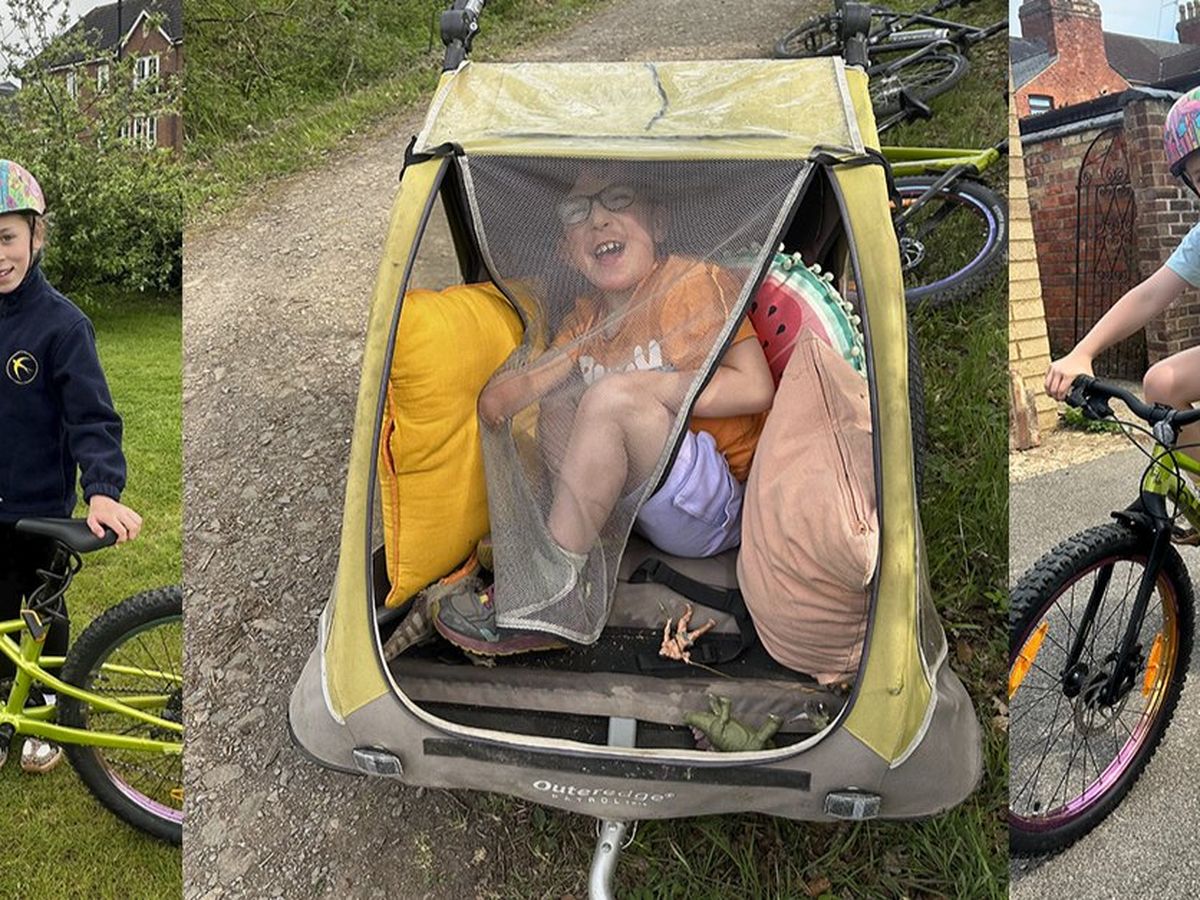 Help us raise funds for a special bike trailer for Beau campaign photo, 1 of 5