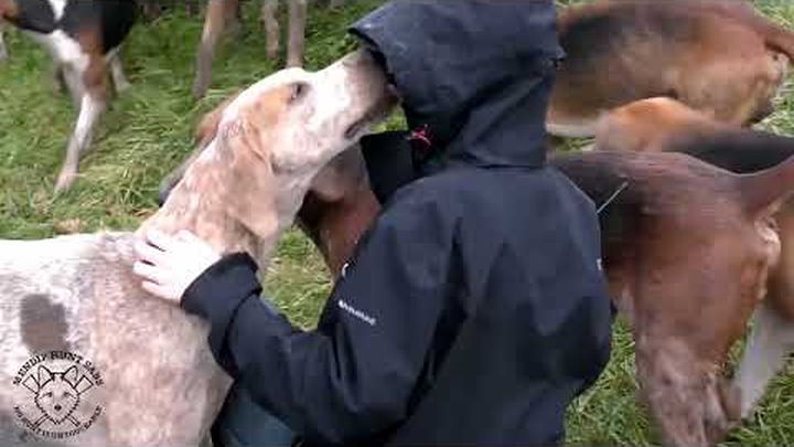 Mendip Hunt Sabs Vehicle Repairs video thumbnail, 1 of 8