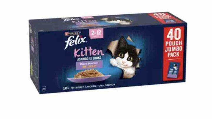 Cat and kitten food and cat litter campaign photo, 1 of 5