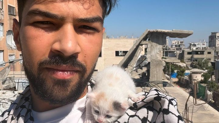Help Abdullah and his Cat Survive campaign photo, 1 of 5