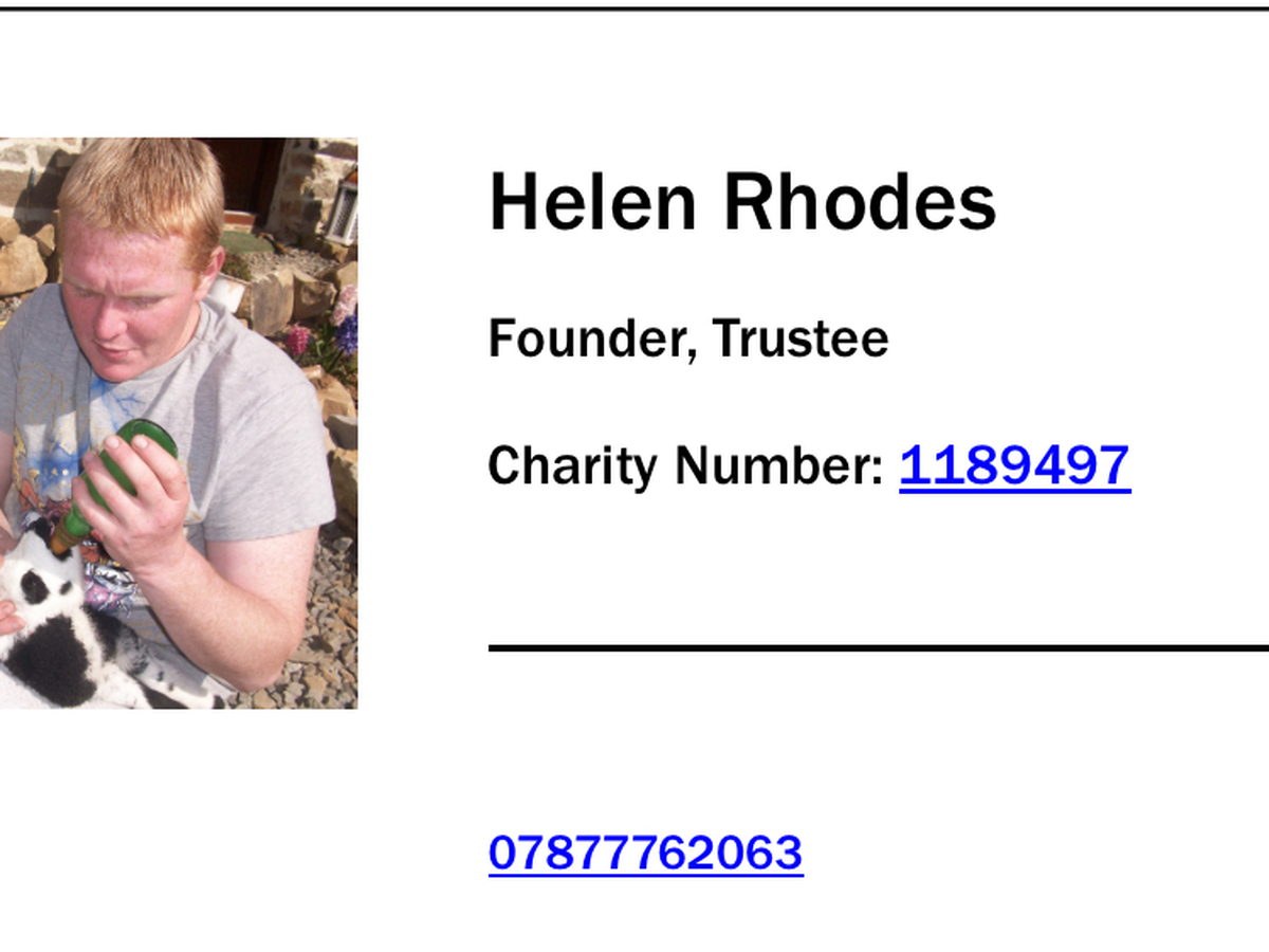 Fundraiser’s main image
