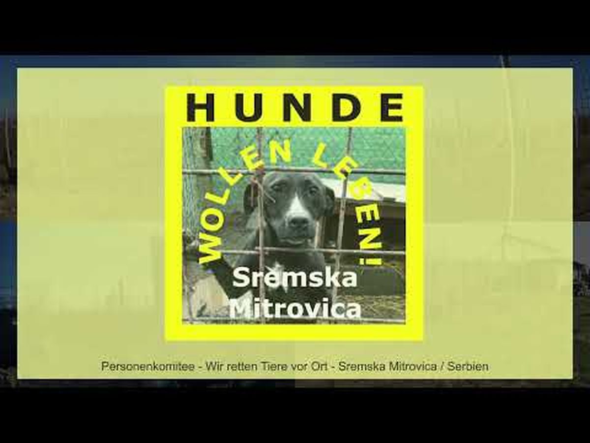 Fundraiser’s main image