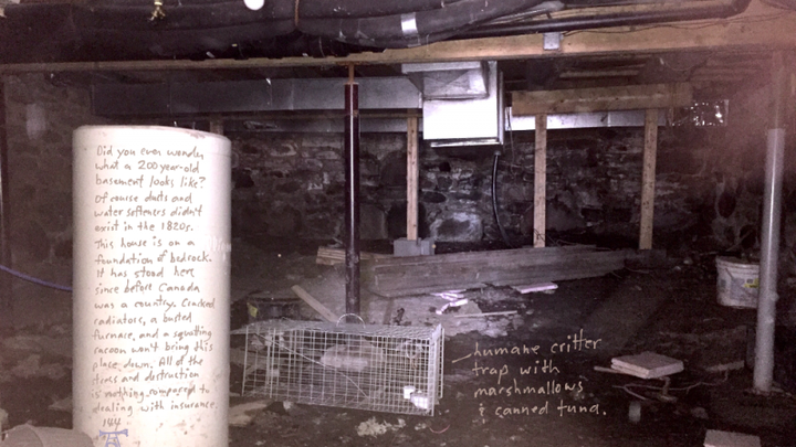 Racoons Killed My House campaign photo, 1 of 2