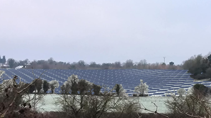Foigha Solar Farm Concern Group campaign photo, 1 of 3