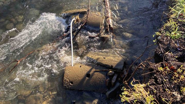 Help JoAnn Restore Water After Well Loss campaign photo, 1 of 8