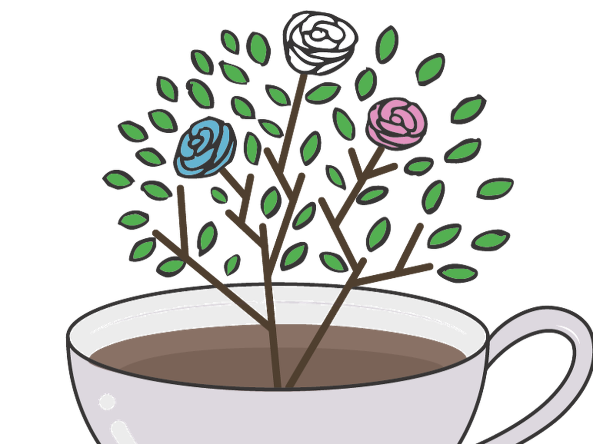 Fundraiser’s main image