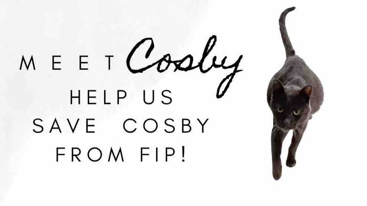 Help us save Cosby! campaign photo, 1 of 3
