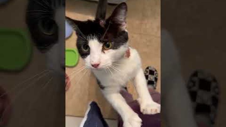 Help Us Save Zuko video thumbnail, 1 of 5