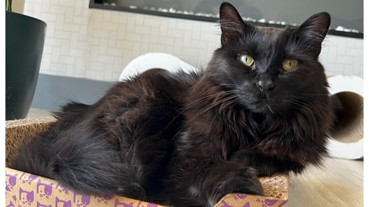 Help Viktor Get Life-Saving Surgery campaign photo, 1 of 8