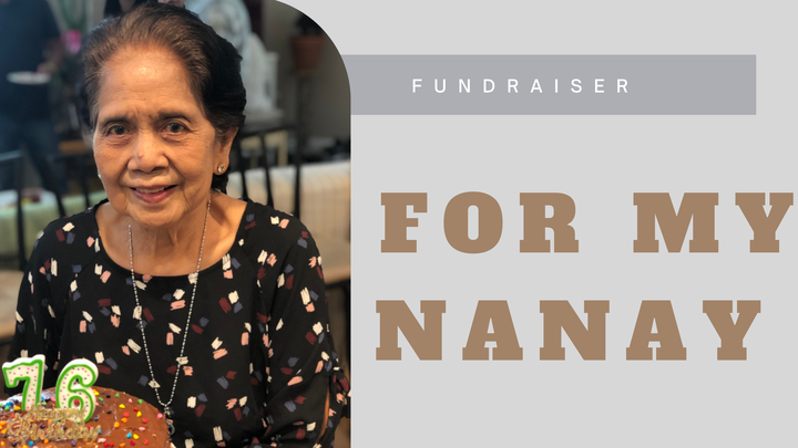 Main fundraiser photo