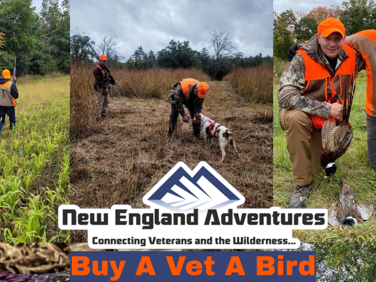Buy A Vet A Bird campaign photo, 1 of 3