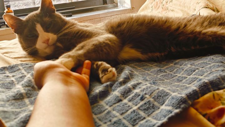 Help Smokey Get Urgent Dental Care campaign photo, 1 of 8