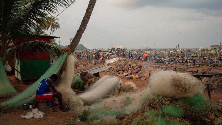 Help Fund a Research Documentary on Plastic Fishing Nets campaign photo, 1 of 7