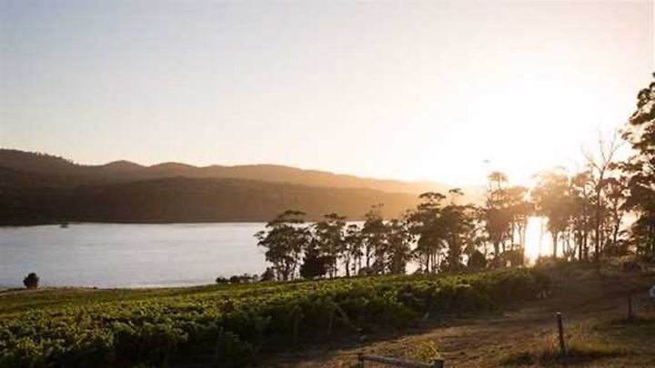 STOP the Data Centre on the banks of the Tamar River campaign photo, 1 of 4