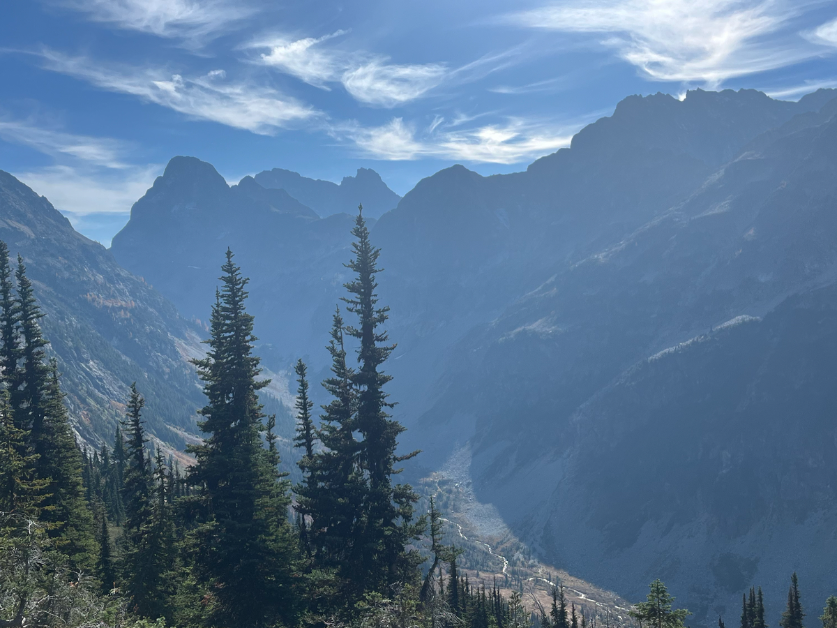 Help Meta Workers Seeking Asylum and Facing Deportation