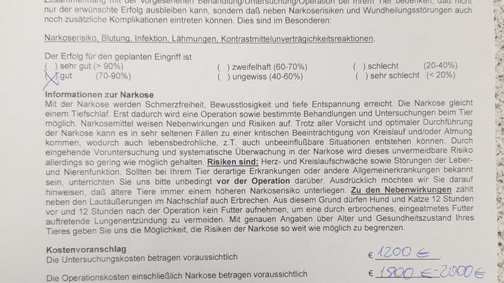 Fundraiser by Manuela Martin : Hilfe für Calou Bandscheiben OP