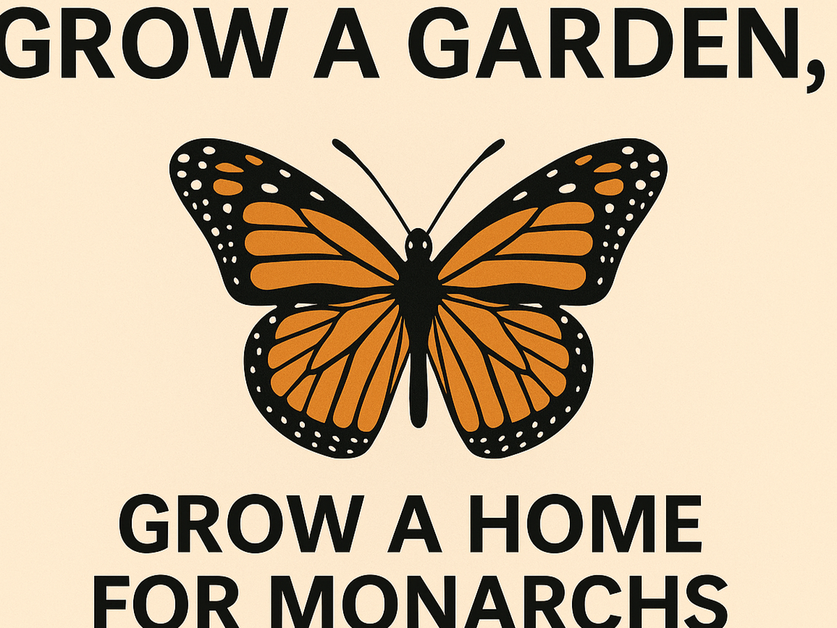 Fundraiser’s main image