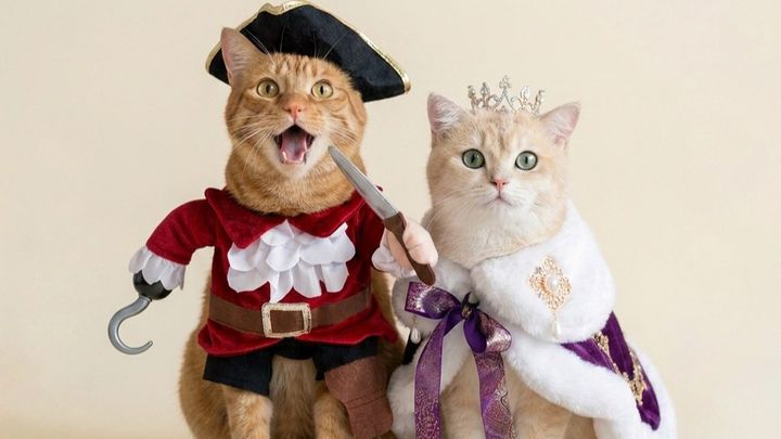 Support Rob and Mickey’s Creative Cat Adventures campaign photo, 1 of 6
