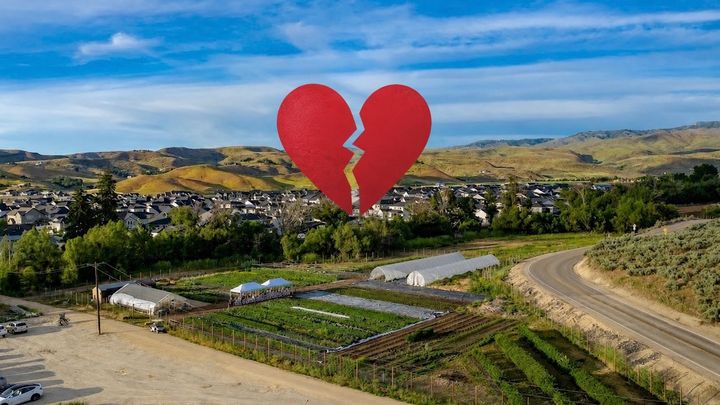 Help Our Community Farm Recover from Vandalism