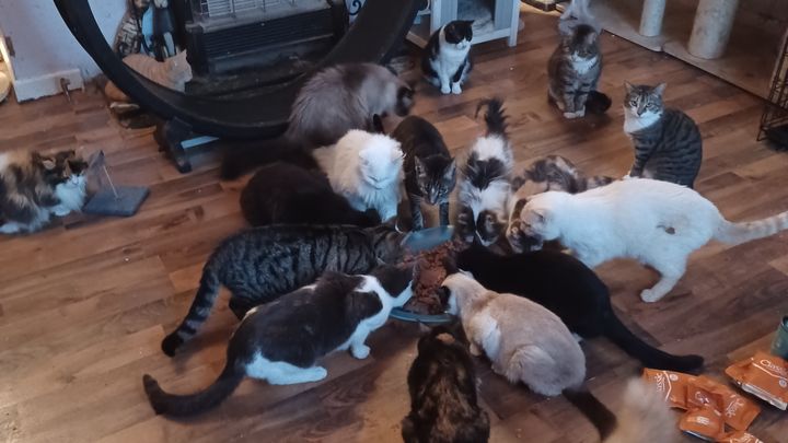 Main fundraiser photo